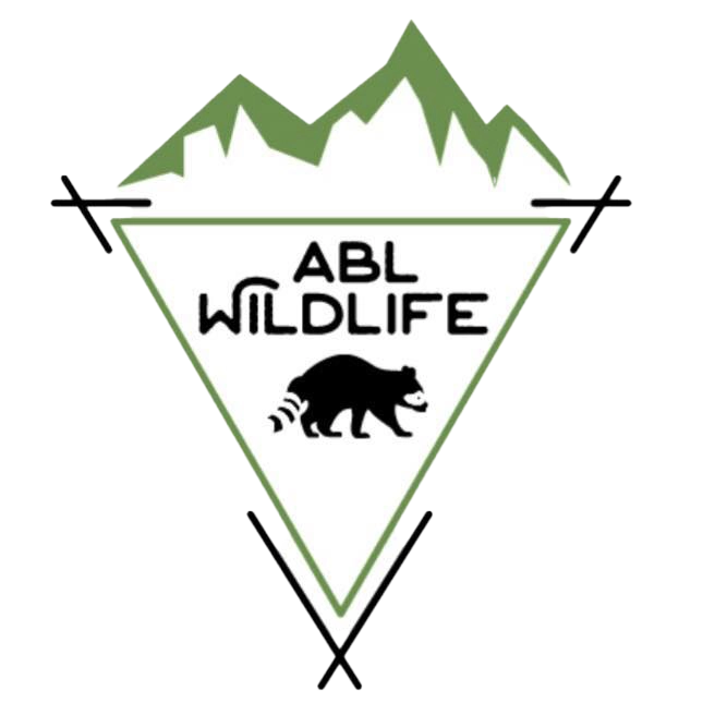 ALB Wildlife Pest Control serving Portland OR | Home link