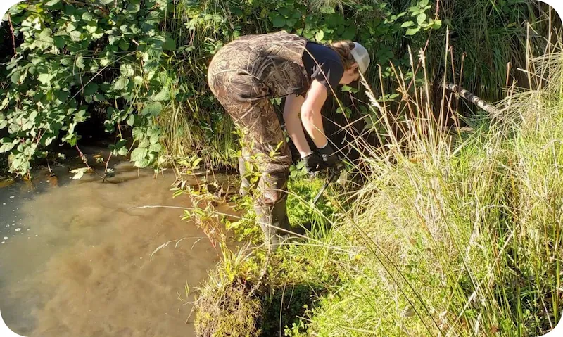 Worker catching pest by a pond - keep your land clear of pests with ABL Wildlife Removal in Portland, OR